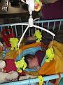 Yente 29 maart 2009 (3)